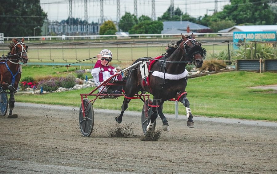 Invercargill Harness Racing Club Cup Day a Huge Success