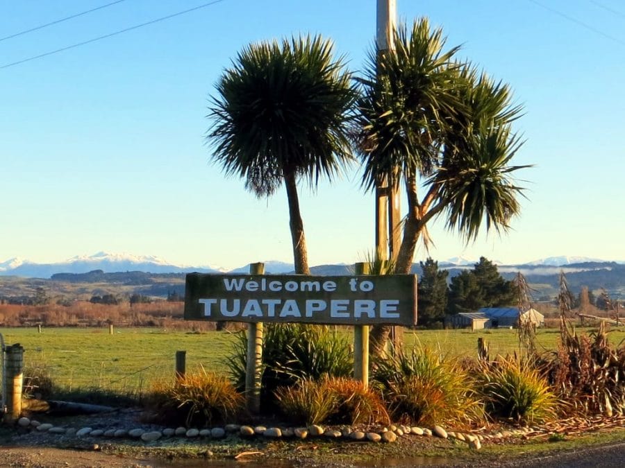 Tuatapere Man Faces Charges for Tree Poisoning