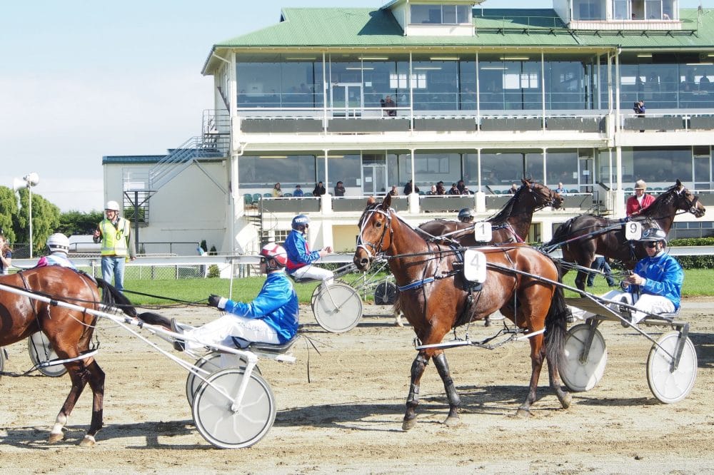 Big Season for Harness Ahead