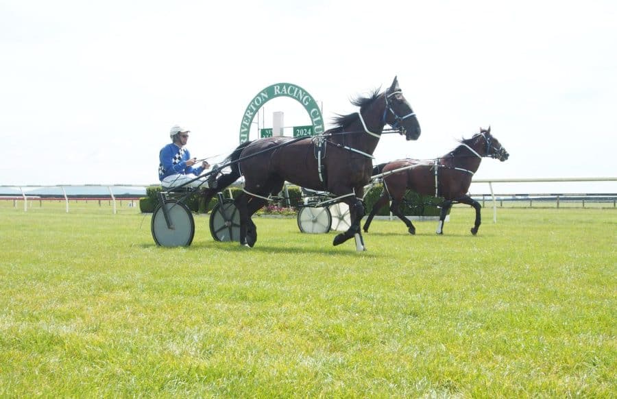 Riverton Trotting Club’s Triumphant Return: Celebrating 24 Years with Racing and Fun