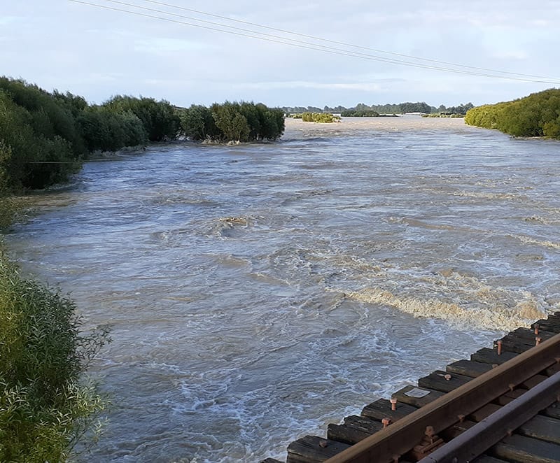 First Sighting Of Cyanobacteria In Oreti River