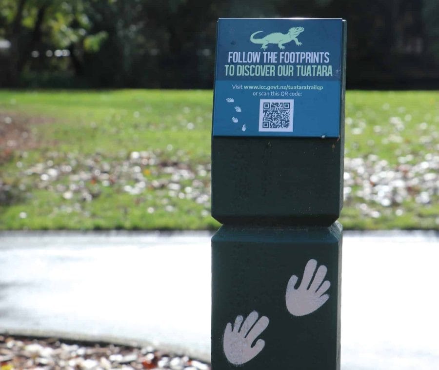 New Walking Trail Connects Tuatara Enclosures in Queens Park