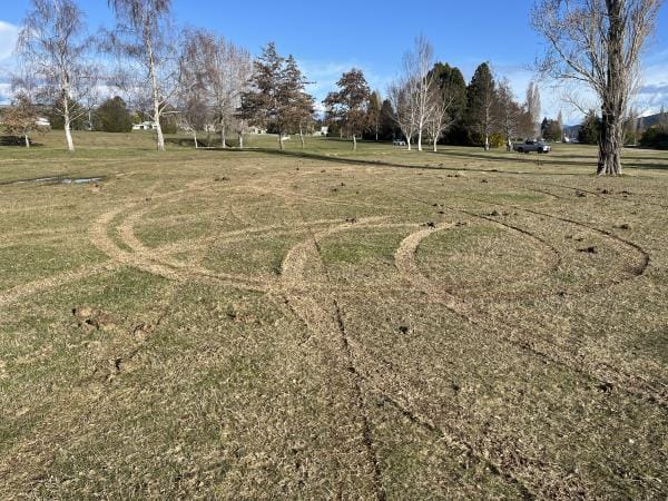 Arrest Made After Vehicle Causes Extensive Damage at Te Anau Domain