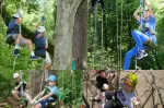 Exciting Tree Climbing Adventure Comes to Invercargill