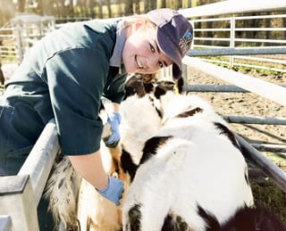 Campus Introduces Flexible Rural Animal Healthcare Programme