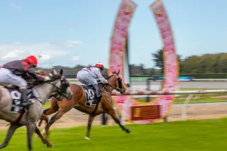 Leave Your Booze At Home For the Christmas Races