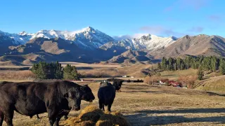 New Model Opens Pathways To Farm Ownership For Kiwis
