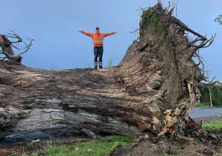 Power And Safety Focus After Southland Storm