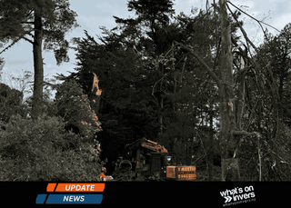 Southland To Shift From Emergency To Recovery