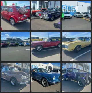 Santa Cruz Great Success