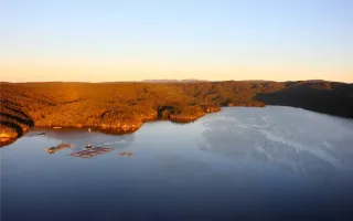 Investigation Underway To Support Aquaculture Industry