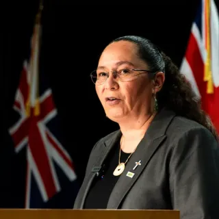 Police to Lose Gun Licensing Control - McKee