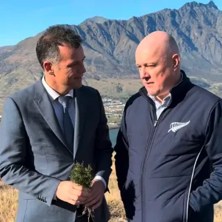 Wilding Conifer Funds Won't Solve Region Issues
