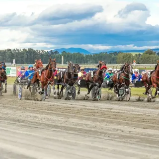 Night 'n Day Backs Southern Harness Racing