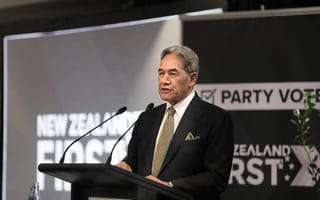 Winston Peters’ Tiwai Point plan: ‘We’re going to take things back to the beginning’