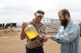 Fonterra Expands Seaweed Trial, Fonterra Farmers Have First Access