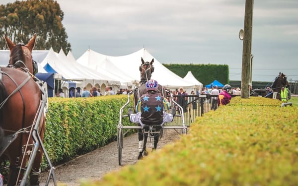 Celebrate With The Invercargill Harness Racing Club