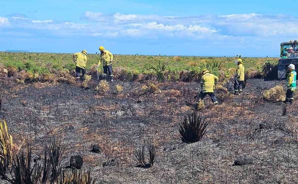 Incident Controller Praises Crews for Hard Work and Success