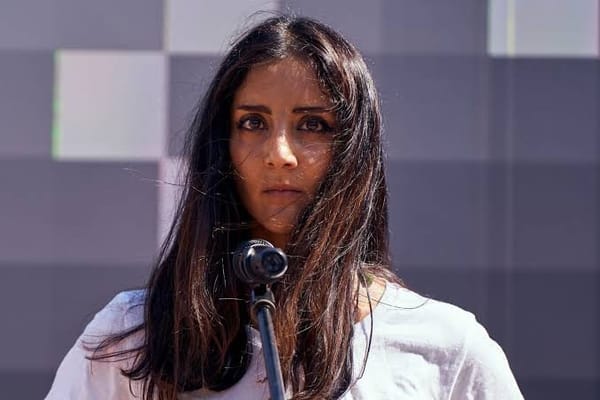 Police Drop Case Against Repetitive Shoplifting Offender, Former MP Golriz Ghahraman