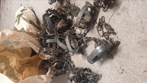 Traps Found At Sandy Point Park