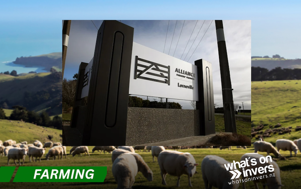 Alliance Group To Partner With Dawn Meats