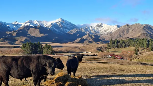 New Model Opens Pathways To Farm Ownership For Kiwis