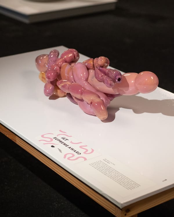 Winners Announced At ILT Southland Art Awards