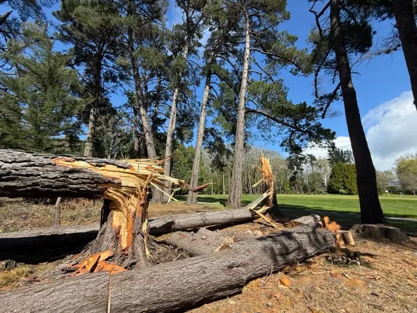 Drone Shows Storm Damage to Queens Park in Invercargill