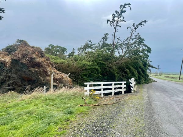 Southland Urged To Stay Safe Outdoors