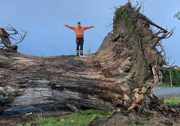 Power And Safety Focus After Southland Storm