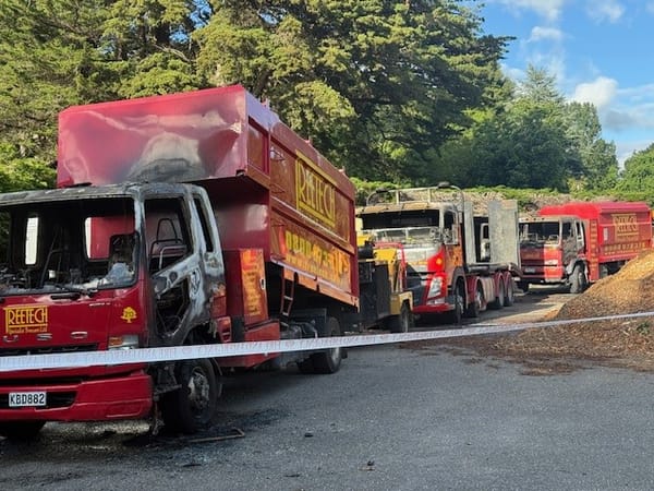 Four Vehicles Torched In Queens Park Fire