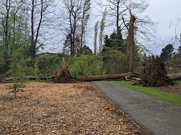 Invercargill Counts Cost Of Storm Damage
