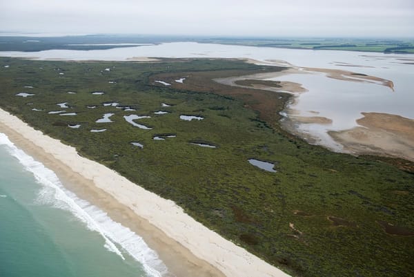 Waituna Lagoon Showing Signs Of Recovery