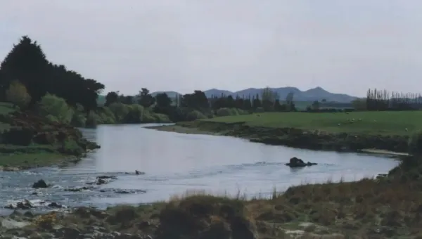 Toxic Algae Found In Mataura River