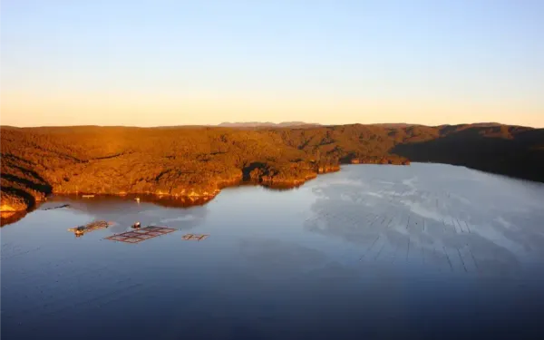 Investigation Underway To Support Aquaculture Industry