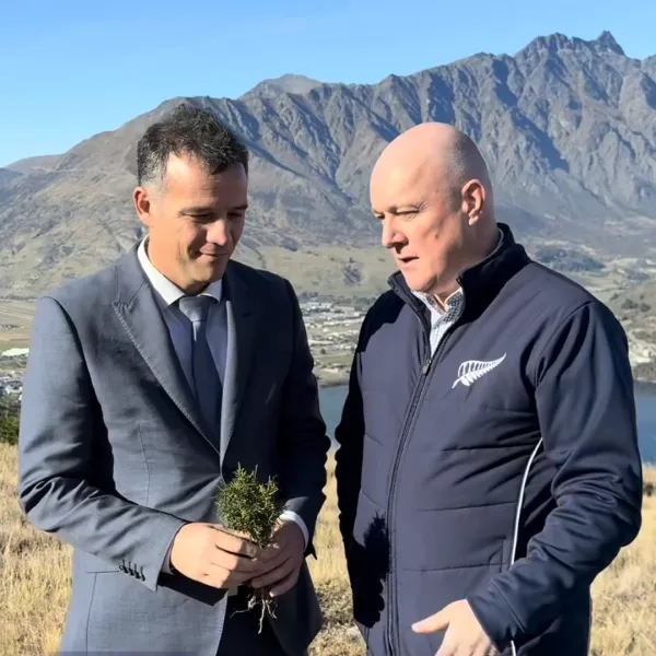 Government Doubles Wilding Pine Funding With $79m Boost