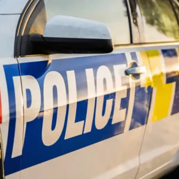 Stolen Car Crime Spree Ends With Road Spikes North of Dunedin