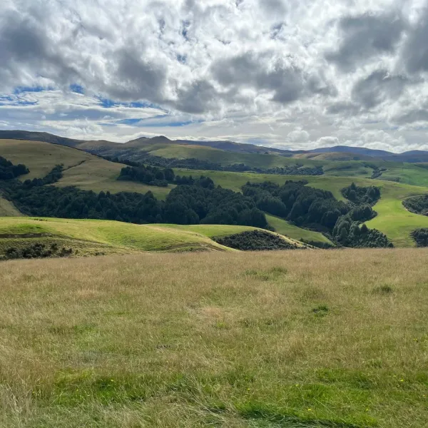 Southland Farmers Get 18-month Extension on Freshwater Plan Deadline