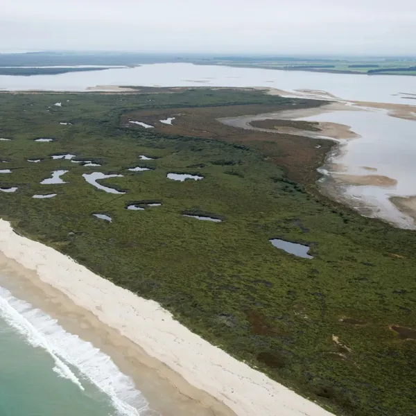 Waituna Restoration Hits New Milestone