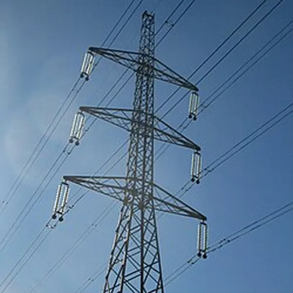 Big Power Firms Must Offer Time Pricing