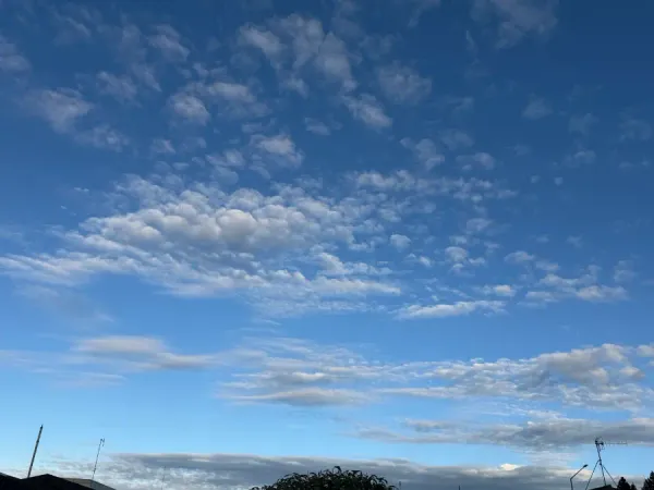 Invercargill Weather: Mild Saturday, Rain Tonight, Cooler Sunday