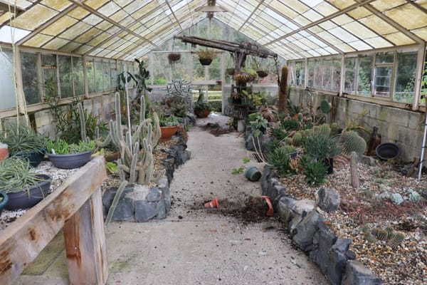 Urgent Closure of Queens Park Winter Gardens Due to Vandalism