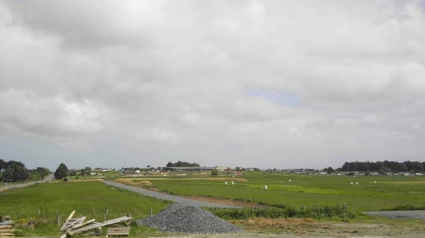 Te Puawai Subdivision Redesigned For South Invercargill
