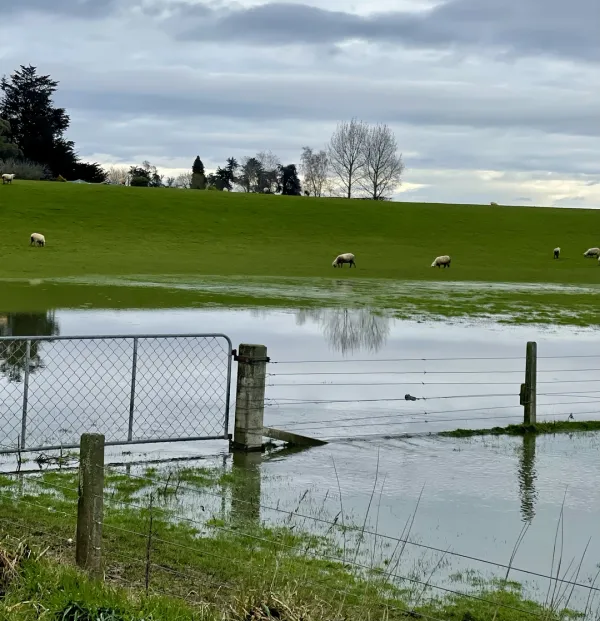 Simmonds Welcomes Aid for Struggling Farmers