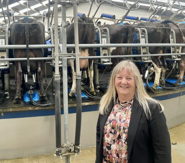 National Promises Fertiliser Security For Southland Farmers