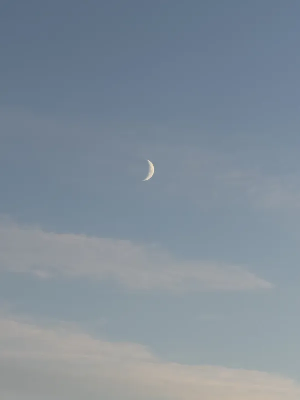 Crescent moon over a pale Southland sky