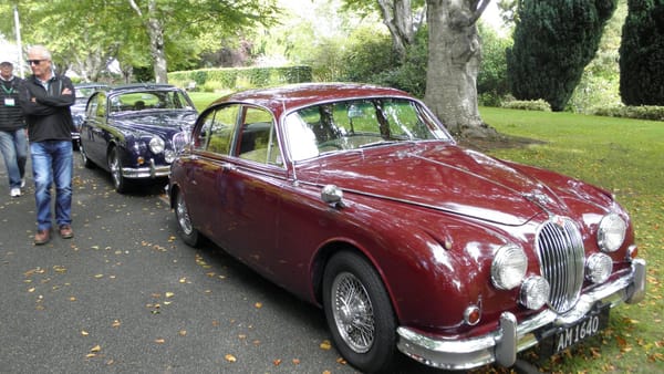 Mal Takes A Walk thru The Jaguar Show & Shine