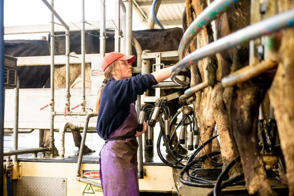 Telford Offers Free Dairy Training