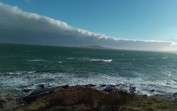 Aussie Takes On The Challenge Of Swimming The Foveaux Strait