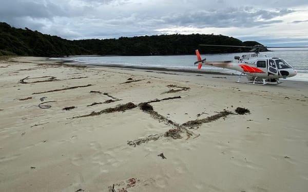 Missing Hunter On Stewart Island Survived On Wild Food